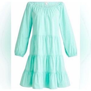 J. Crew Aqua Green Gingham
Cotton Dress